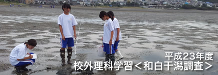 平成23年度 校外理科学習＜和白干潟調査＞（中学3年生）